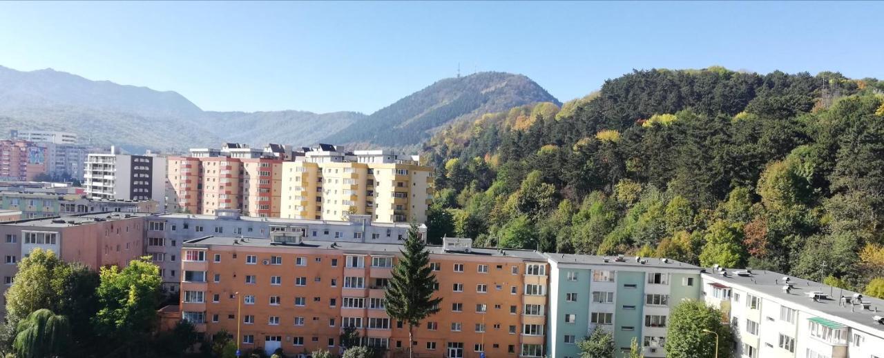Ama Apartment Mountain View & Parking Braşov Eksteriør bilde